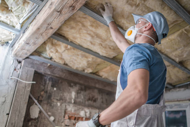 Best Insulation Repair Services  in Ossian, IN