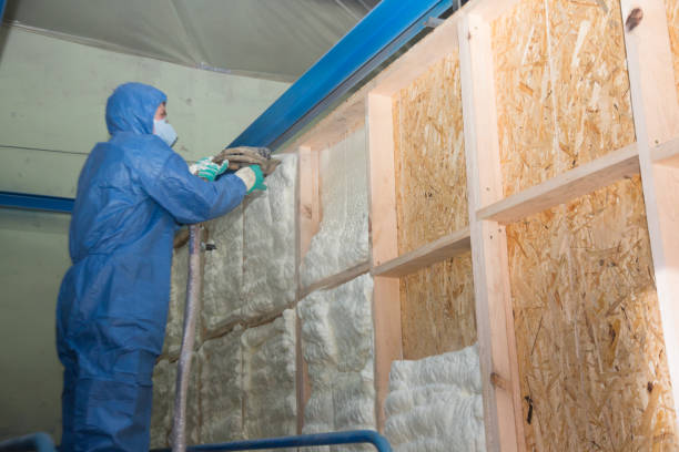 Garage Insulation Installation in Ossian, IN